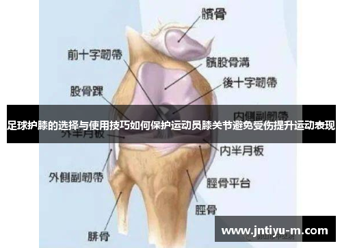 足球护膝的选择与使用技巧如何保护运动员膝关节避免受伤提升运动表现